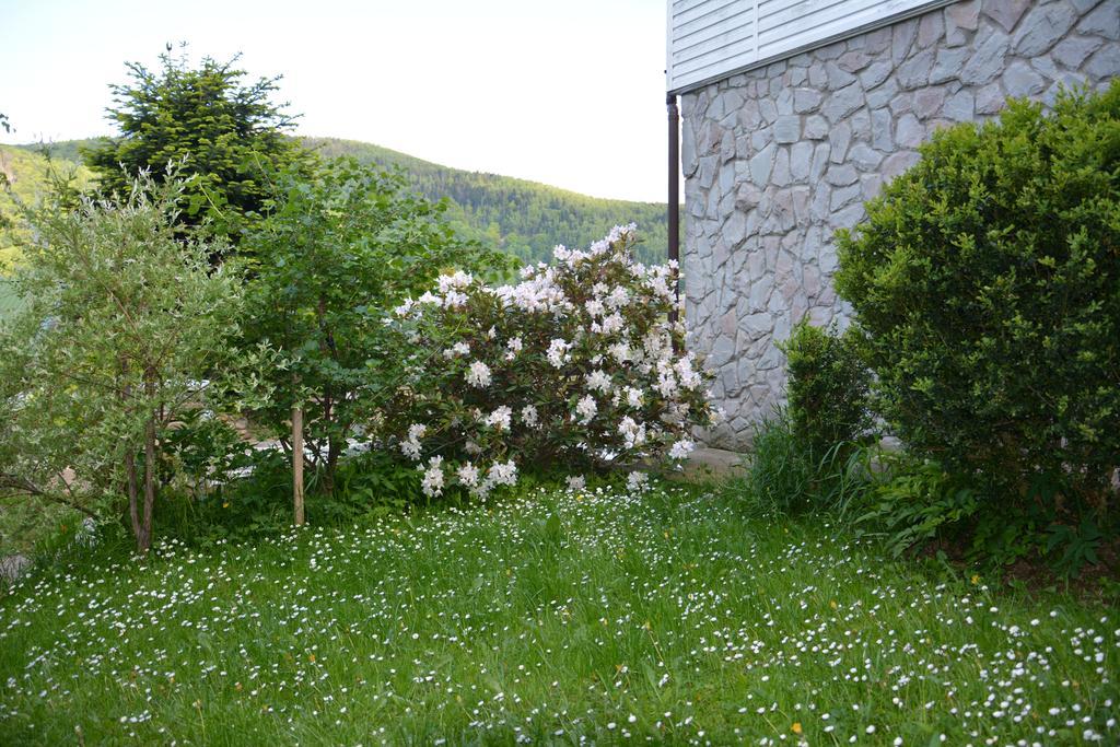Sadyba Karpatiya Yaremche Exterior foto
